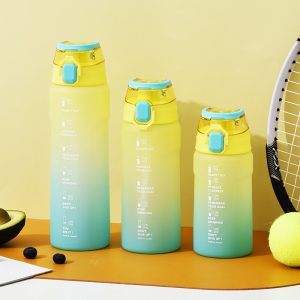 New Launched 500ml 700ml 1000ml BPA free Plastic Tritan Duo Drinking Water Bottle with Portable Handle