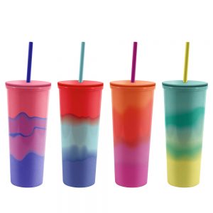 24 oz. Double-Walled Plastic Tumbler with Metallic Ombre Insert